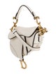 Christian Dior Leather Saddle Micro 2022