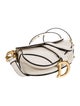 Christian Dior Leather Saddle Micro 2022