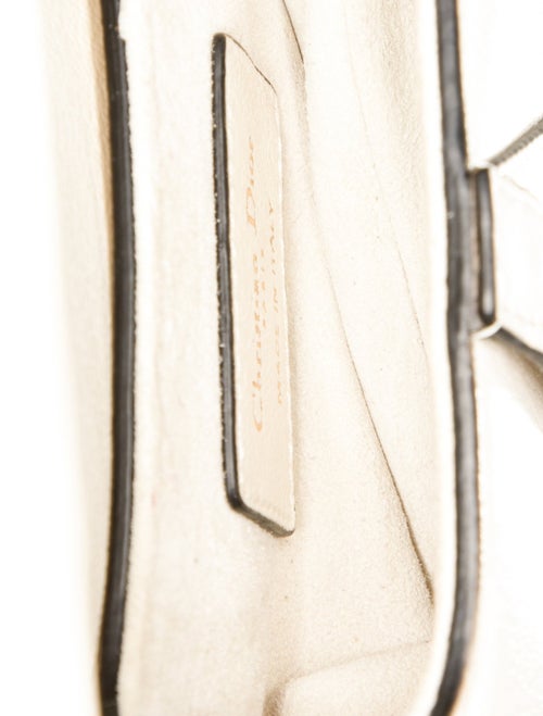 Christian Dior Leather Saddle Micro 2022