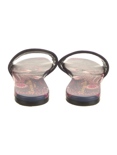 Christian Dior 2019 Dway Flats