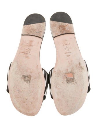 Christian Dior 2025 D-Way Slides