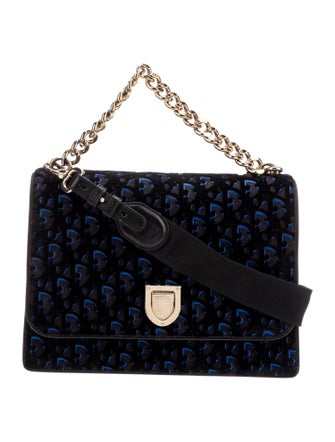 Christian Dior Oblique Jacquard Diorama