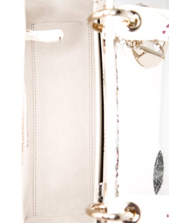 Christian Dior Leather Lady Dior Medium 2024