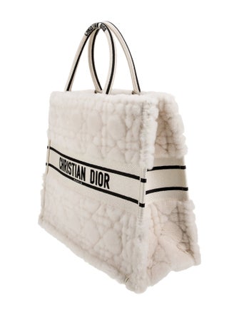 Christian Dior Shearling Book 2022