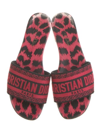 Christian Dior Printed Flats