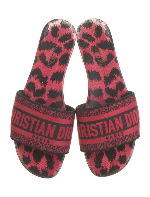 Christian Dior Printed Flats