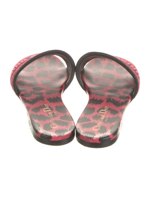 Christian Dior Printed Flats