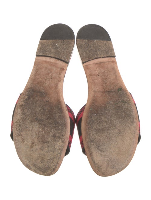 Christian Dior Printed Flats