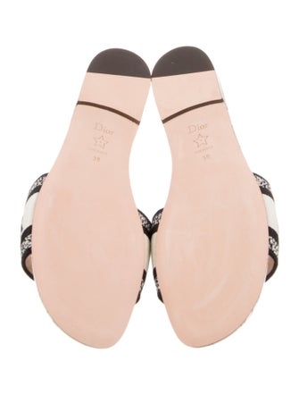 Christian Dior Printed Embroidered Accent Slides