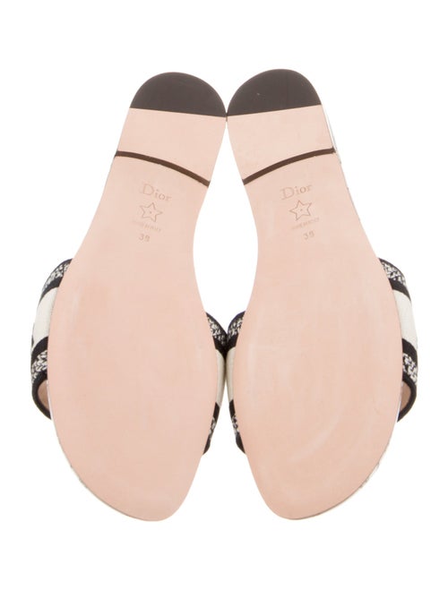 Christian Dior Printed Embroidered Accent Slides