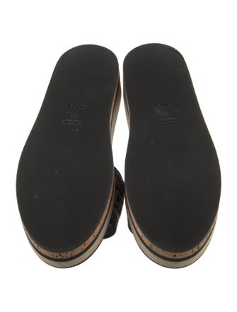 Christian Dior Printed Slides