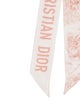 Christian Dior Silk Printed Scarf
