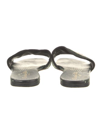 Christian Dior Printed Embroidered Accent Slides