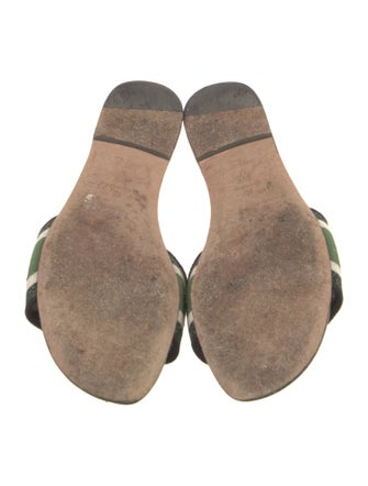 Christian Dior Printed Embroidered Accent Slides