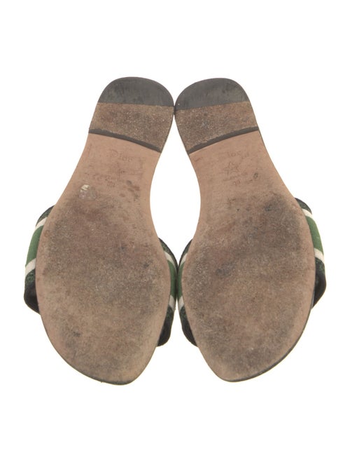 Christian Dior Printed Embroidered Accent Slides