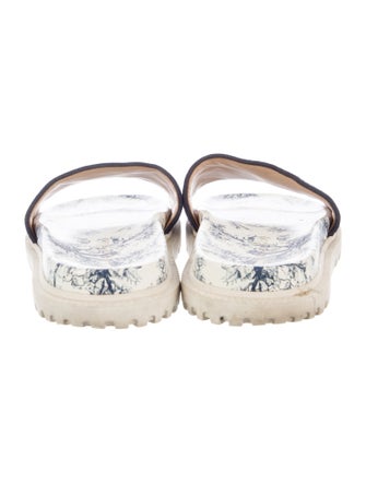 Christian Dior Printed Embroidered Accent Slides