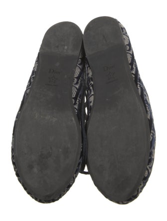 Christian Dior Printed Ballet Flats