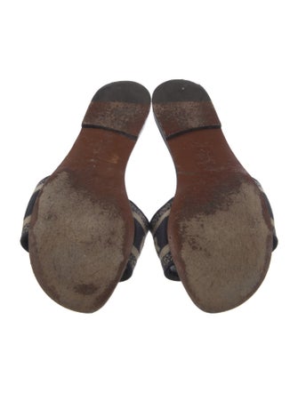 Christian Dior Canvas Printed Slides