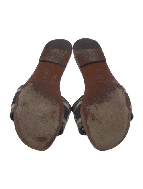 Christian Dior Canvas Printed Slides