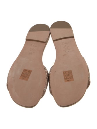 Christian Dior Leather Printed Slides