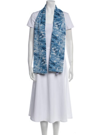 Christian Dior Printed Scarf