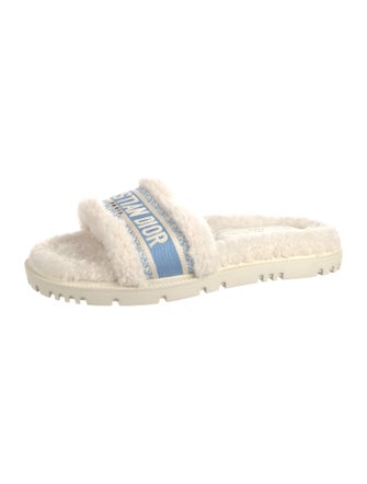 Christian Dior Shearling Printed Espadrilles