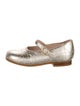 Christian Dior Metallic Ballet Shoes
