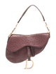 Christian Dior Ostrich Saddle