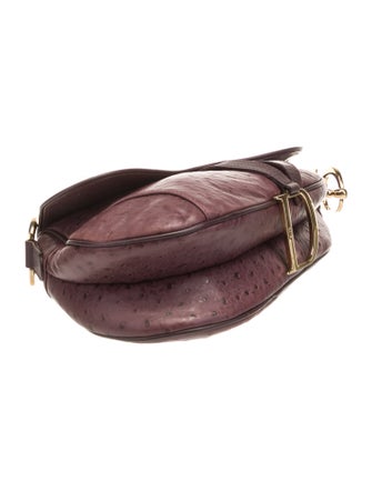 Christian Dior Ostrich Saddle