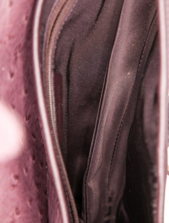 Christian Dior Ostrich Saddle