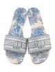 Christian Dior Canvas Printed Slides