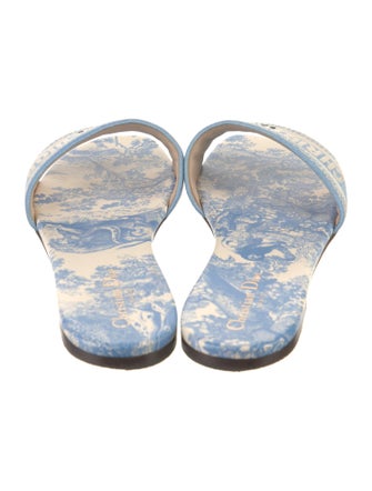 Christian Dior Canvas Printed Slides