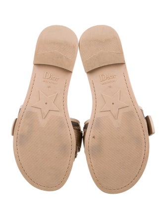 Christian Dior Canvas Printed Slides