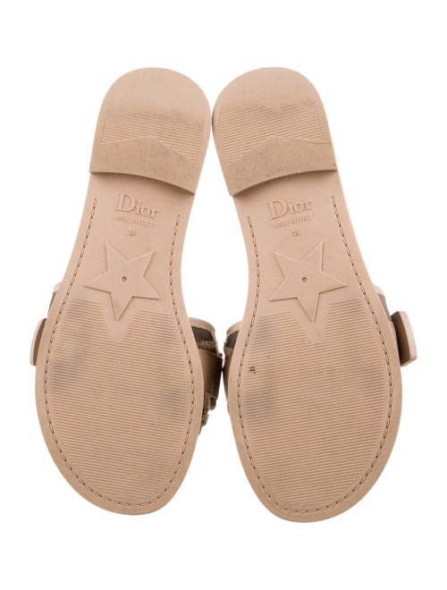 Christian Dior Canvas Printed Slides