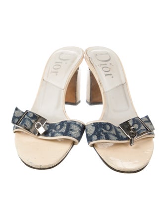 Christian Dior Denim Printed Slides