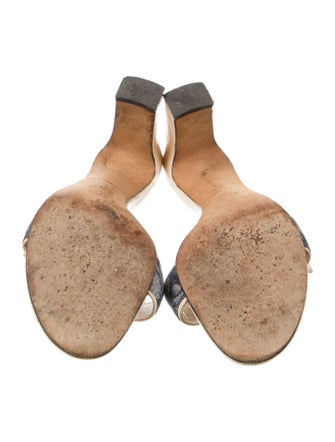 Christian Dior Denim Printed Slides