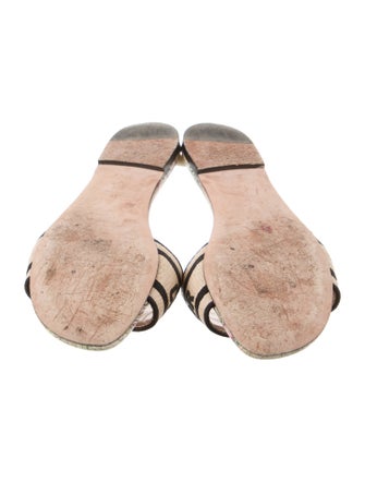 Christian Dior Graphic Print Embroidered Accent Slides