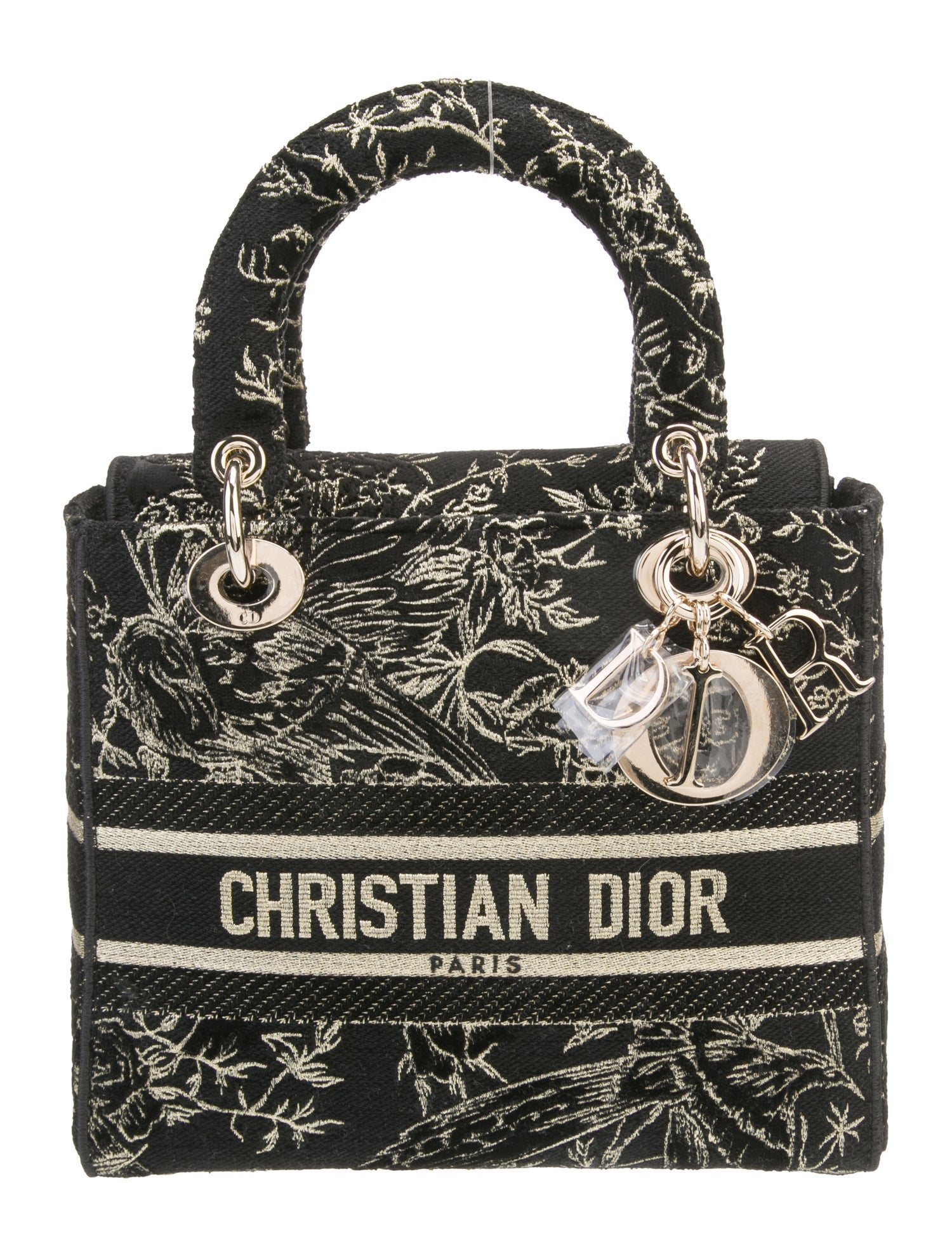 Christian Dior Canvas D-Lite Medium 2022