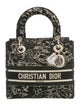 Christian Dior Canvas D-Lite Medium 2022