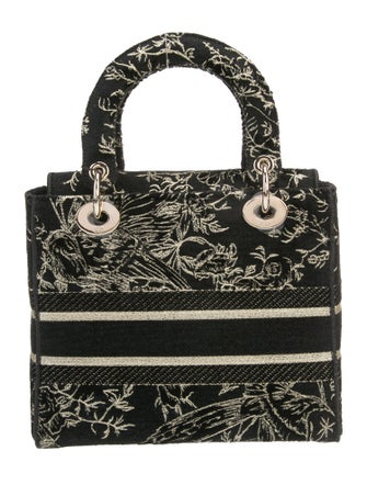 Christian Dior Canvas D-Lite Medium 2022