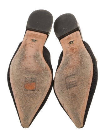 Christian Dior Mesh Printed Slingback Flats