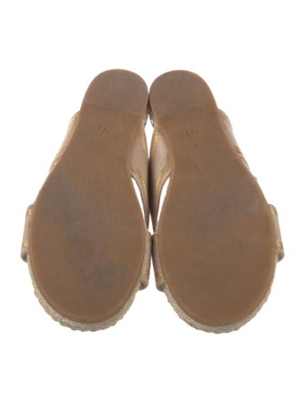 Christian Dior Printed Glitter Accents Espadrilles