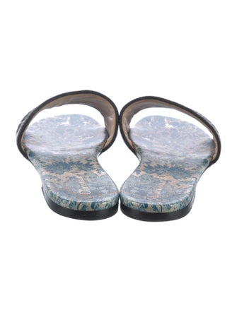 Christian Dior Printed Embroidered Accent Slides