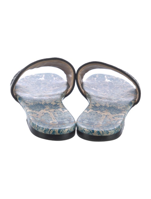 Christian Dior Printed Embroidered Accent Slides
