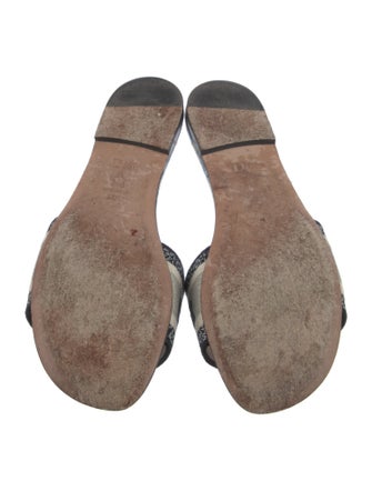 Christian Dior Printed Embroidered Accent Slides