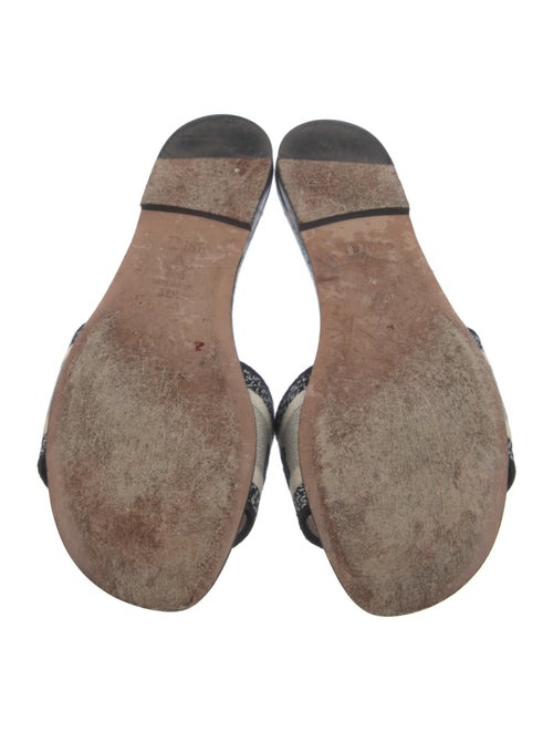 Christian Dior Printed Embroidered Accent Slides