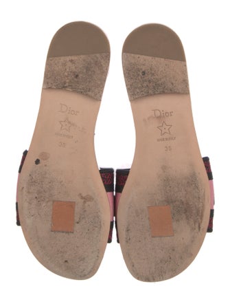 Christian Dior Canvas Floral Print Slides