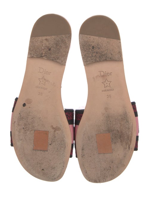 Christian Dior Canvas Floral Print Slides