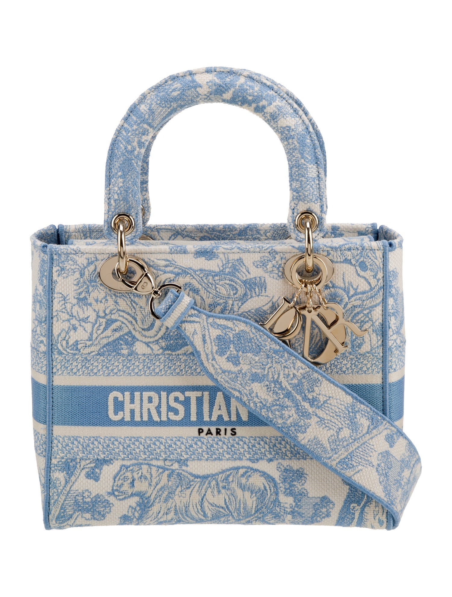 Christian Dior Canvas D-Lite Medium