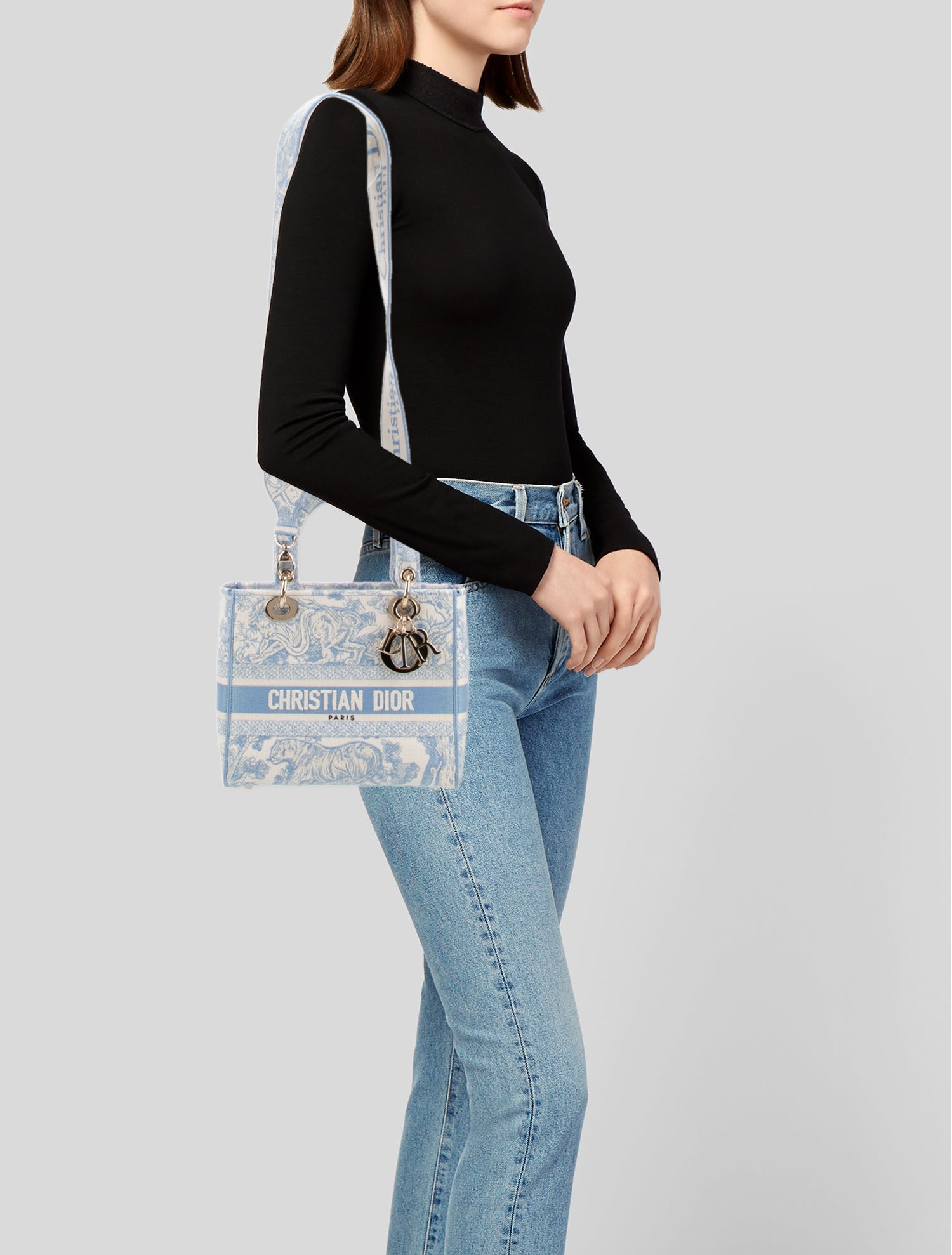 Christian Dior Canvas D-Lite Medium